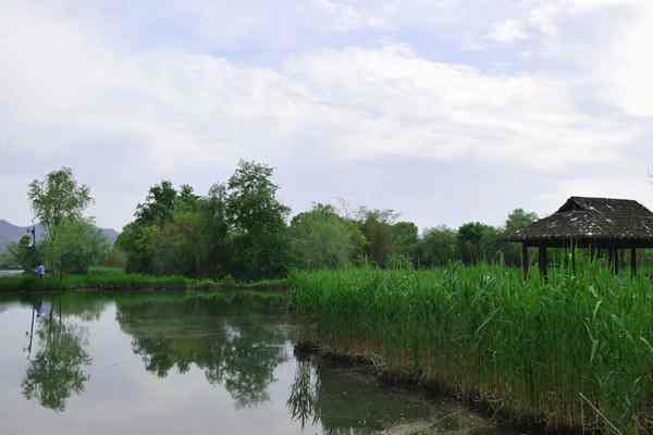 滁州市明光市全方位提升生態環境治理水平